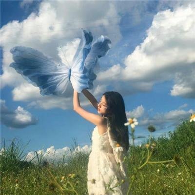 九霄龙吟传